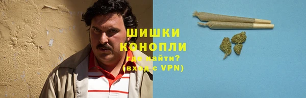 гидропоника Горнозаводск